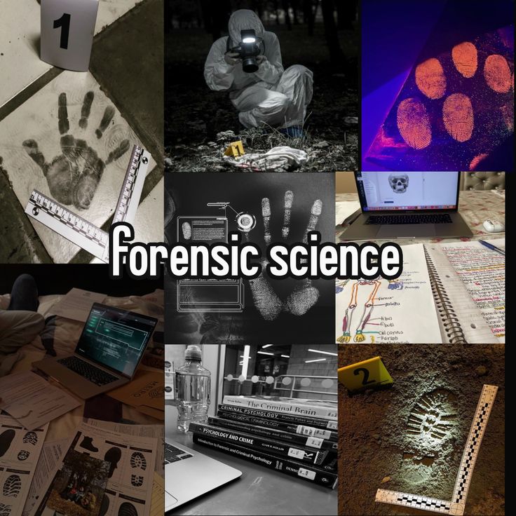 Highest Paying Jobs After MSc Forensic Science