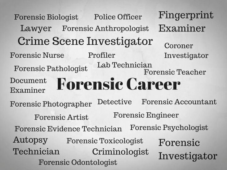 Highest Paying Jobs After MSc Forensic Science